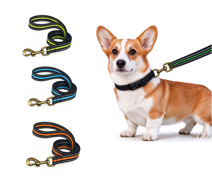 Durable Multi‑Color Reflective Polyester Webbing Material for Retractable Pet Leash Manufacturing